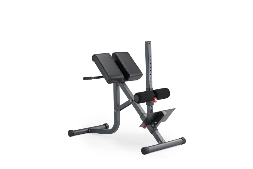 Amila Roman Chair With Hyperextension (44716)