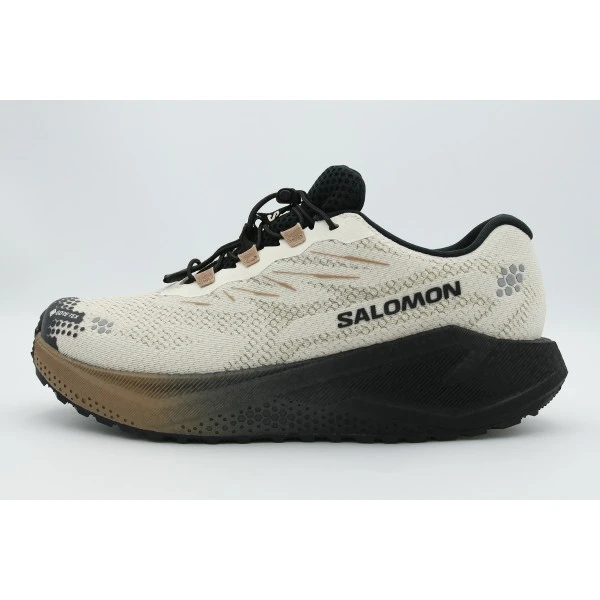 Salomon Aero Blaze 4 Grvl Gore-Tex Αθλητικά Παπούτσια Για Τρέξιμο (454032)