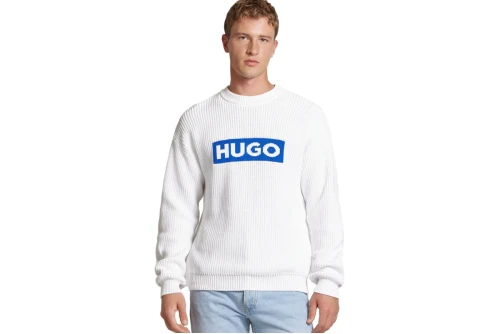 Hugo Seylo Πουλόβερ Ανδρικό (50525363 100)