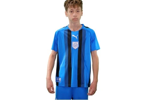 Pas Giannina Fc Teamliga Striped Jersey Φανέλα Ομάδας (704927 02 PAS)