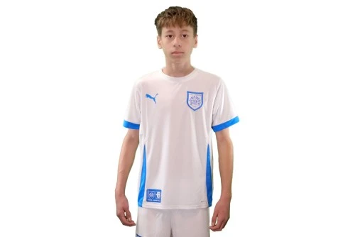 Pas Giannina Fc Teamgoal Matchday Jersey Jr Φανέλα Ομάδας (705748 12 PAS)