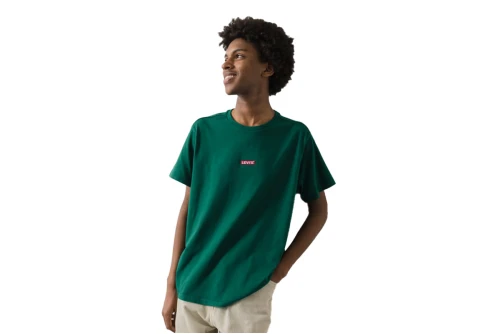 Levi's T-Shirt Ανδρικό (795540015)