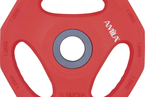 Amila Δίσκος Amila Pump Rubber Φ30 1,25Kg (84515)