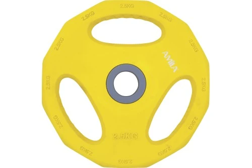 Amila Δίσκος Amila Pump Rubber Φ30 2,50Kg (84516)