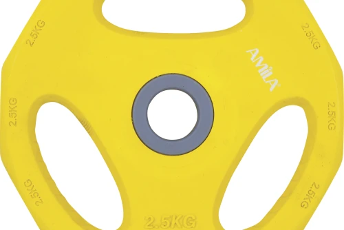 Amila Δίσκος Amila Pump Rubber Φ30 2,50Kg (84516)