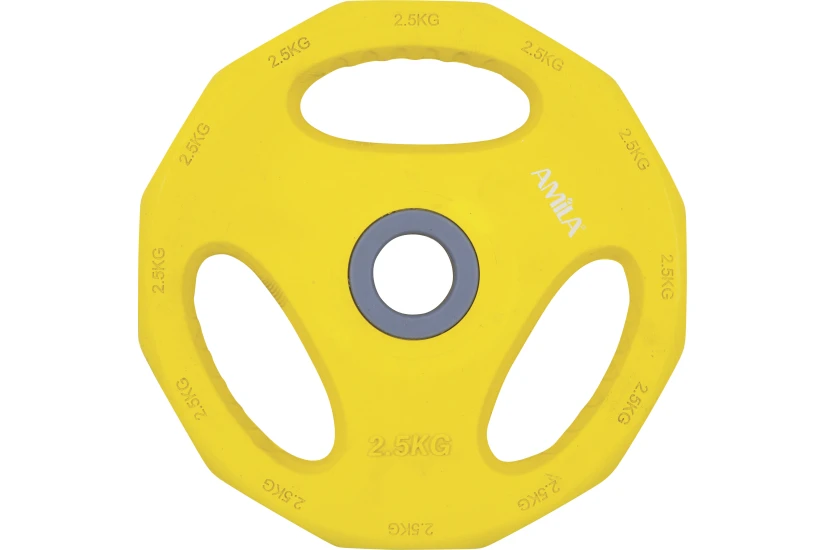 Amila Δίσκος Amila Pump Rubber Φ30 2,50Kg (84516)