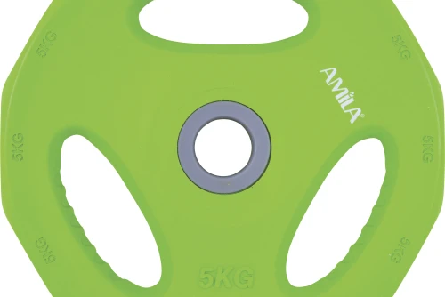 Amila Δίσκος Amila Pump Rubber Φ30 5,00Kg (84517)