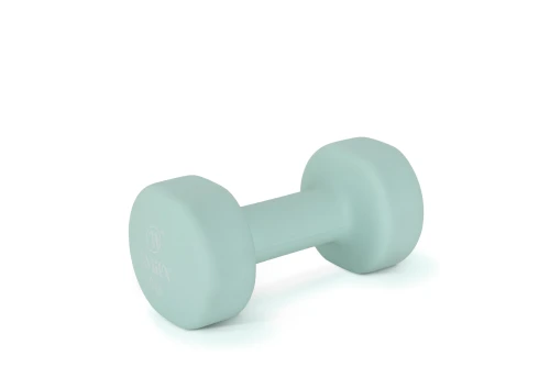 Amila Amila Neoprene Dumbbell 6Kg (90516)