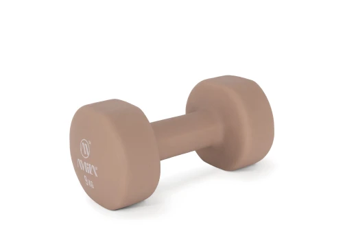 Amila Amila Neoprene Dumbbell 9Kg (90519)