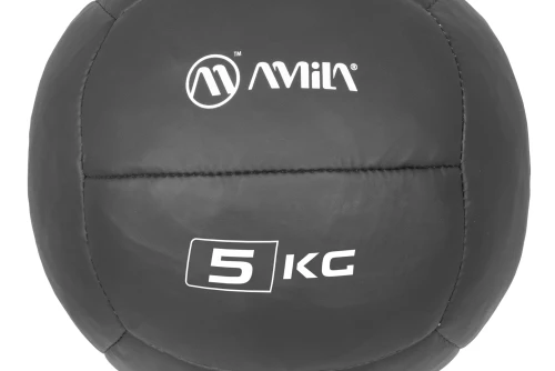 Amila Amila Wall Ball Pu Series 5Kg (94601)