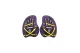 Arena Vortex Evolution Hand Paddles Eξοπλισμός Κολύμβησης