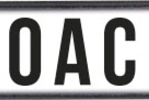 Amila Patch Coach (95344)
