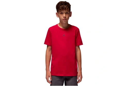 Jordan Dri-Fit Sport Core T-Shirt (95D618 R78)
