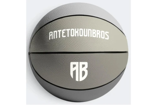 Antetokounbros Shades Size 7 Μπάλα Μπάσκετ (ACXF162030 013)