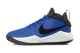 Nike Team Hustle D 9 Gs (AQ4224 400)