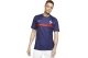 Nike Φανέλα Ομάδας Ανδρική (CD0700 498)