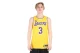 Nike Los Angeles Lakers Anthony Davis Dri-FIT Φανέλα Nba Icon Edition