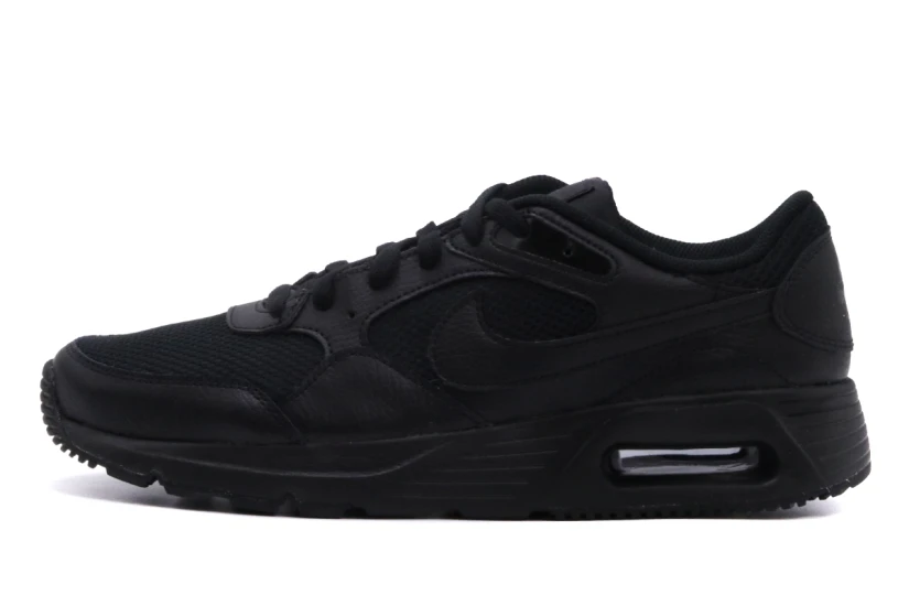 Nike Air Max Sc Sneakers (CW4555 003)