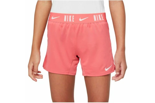 Nike Dri-Fit Trophy Σορτς Αθλητικό (DA1099 603)