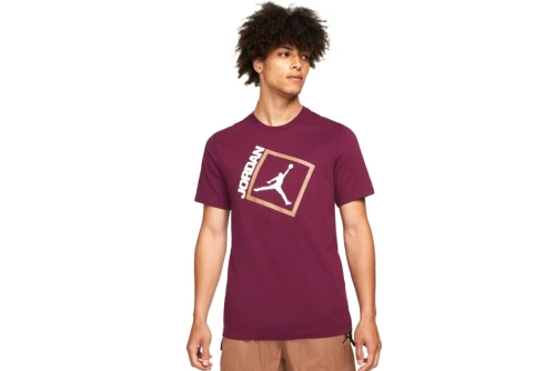 Jordan T-Shirt Fashion Ανδρ (DA9900 610)