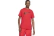 Nike Ανδρικό Κοντομάνικο T-Shirt Κόκκινο (DC5094 657)
