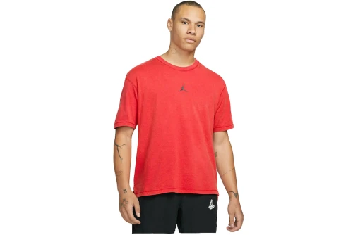 Jordan T-Shirt Ανδρικό (DH8920 687)
