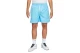 Nike Sportswear Essentials Μαγιό Σορτς Ανδρικό (DM6829 416)