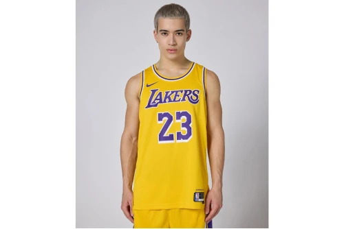 Nike Nba Lebron James Los Angeles Lakers Φανέλα Ομάδας (DN2009 733)
