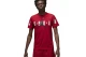 Jordan Ανδρικό Κοντομάνικο T-Shirt Κόκκινο (DV1445 687)