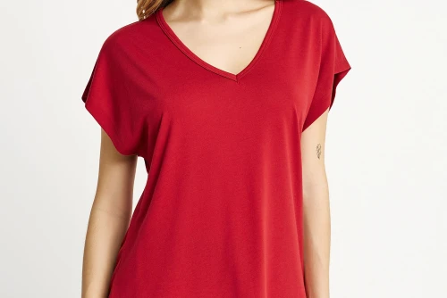 Funky Buddha The Basics Collection V-Neck T-Shirt Γυναικείο (FBL013-111-04-BAKED-APPLE)