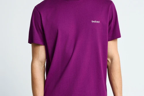 Funky Buddha The Basics Collection T-Shirt Ανδρικό (FBM013-001-04-GRAPE-JUICE)