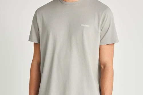 Funky Buddha The Basics Collection T-Shirt Ανδρικό (FBM013-001-04-GREY)