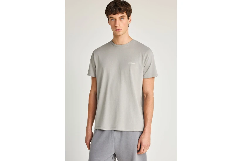 Funky Buddha The Basics Collection Ανδρικό Κοντομάνικο T-Shirt Γκρι