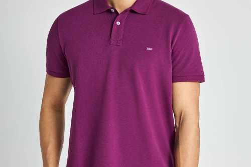 Funky Buddha Essential Cotton Polo Ανδρικό (FBM013-001-11-GRAPE-JUICE)