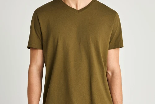 Funky Buddha The Basics Collection V-Neck T-Shirt Ανδρικό (FBM013-002-04-DUSTY-OLIVE)