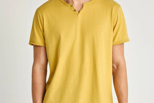Funky Buddha The Essentials V-Neck T-Shirt Ανδρικό (FBM013-004-04-OIL-YELLOW)