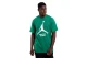 Jordan NBA Boston Celtics Ανδρικό Κοντομάνικο T-Shirt Πράσινο