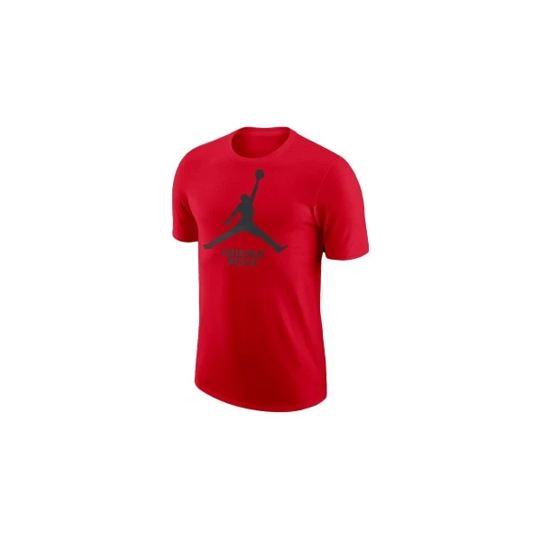 Jordan Nba Chicago Bulls T-Shirt Ανδρικό (FD1460 657)