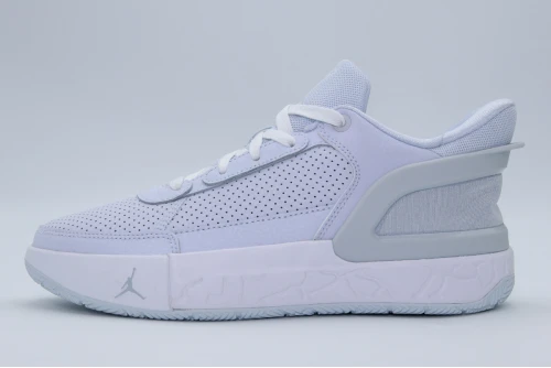 Jordan Day1 Eo Sneakers (FQ1306 004)