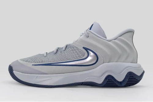 Nike Giannis Immortality 4 Παπούτσια Για Μπάσκετ (FQ3680 008)