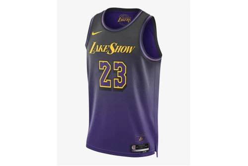 Nike Nba Lebron James Los Angeles Lakers 24-25 Φανέλα Ομάδας (FQ4346 504)