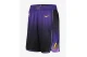 Νike NBA Los Angeles Lakers City Edition Μπασκετική Βερμούδα