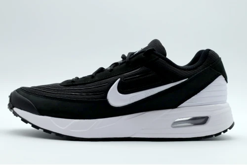 Nike Air Max Verse Sneakers (FV1302 003)