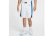 Nike Dri-FIT Limited Ηome Ανδρική Μπασκετική Βερμούδα Εθνικής Ελλάδας