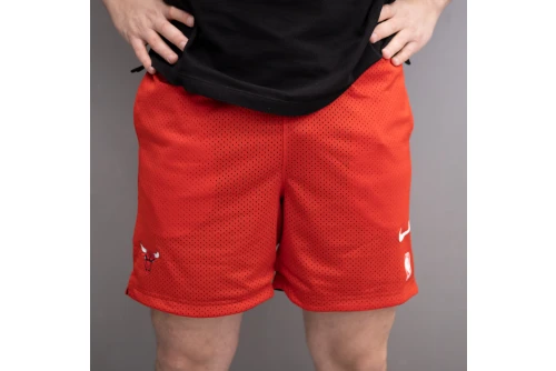 Nike Nba Chicago Bulls Βερμούδα Μπασκετική Ανδρική (FZ7777 657)