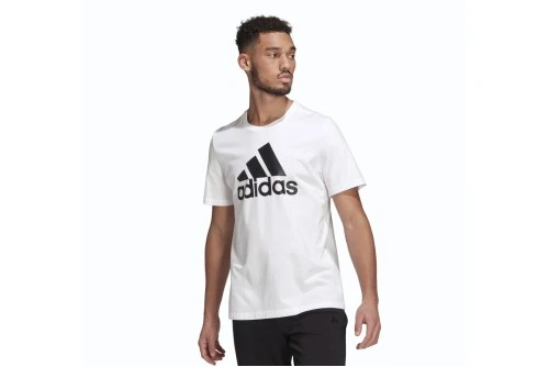 Adidas Performance Essentials Big Logo Κοντομάνικο T-Shirt Ανδρικό (GK9121)