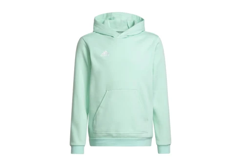 Adidas Performance Ent22 Hoody Y (HC5066)