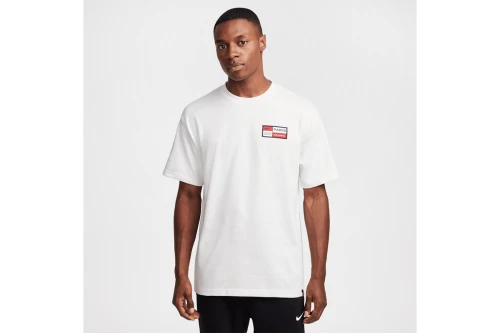 Nike Paris Saint-Germain Premium T-Shirt Ανδρικό (HJ3778 121)