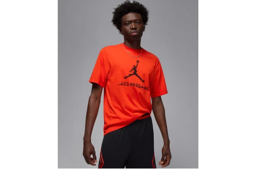 Jordan Sport Dri-Fit T-Shirt Ανδρικό (HQ9091 891)