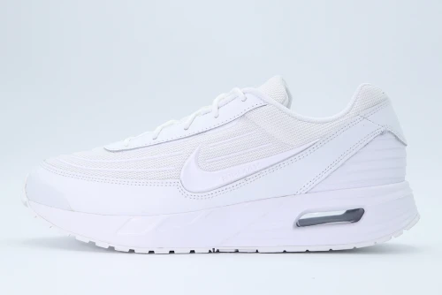 Nike Air Max Verse Le Sneakers (HV4415 100)